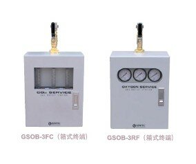 上海捷锐GENTEC 箱式气体终端箱 美国捷锐